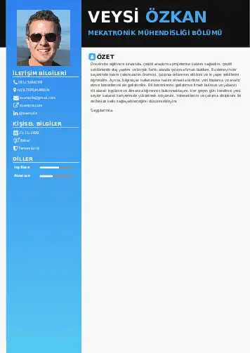 Mekatronik Mühendisliği Cv Örnekleri cv indir